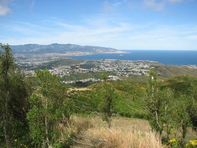 Wellington3.jpg